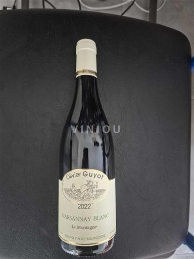 Borgogna Marsannay Olivier Guyot La Montagne 2022