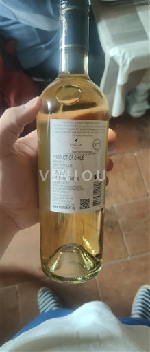 Maipo-Tal Maipo Central Tarapacá 2024