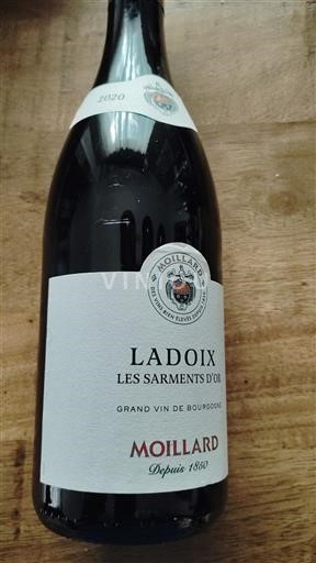Bourgogne Ladoix Moillard Les Sarments d'Or 2020