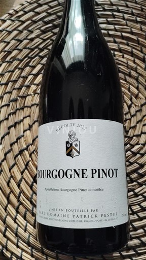 Burgundsko Domaine Patrick Festre 2022