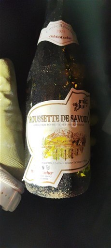 Savoie en Bugey Roussette de Savoie Rochinsanches 2023