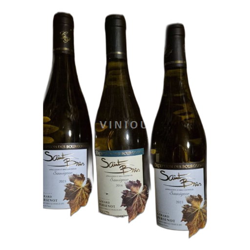Burgundy Saint-Bris Gerard Persenot 2023