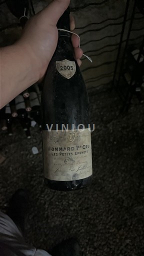 Borgogna Non specificato Premier Cru Domaine Jean Vaudoisey Les Petits Epenots 2005