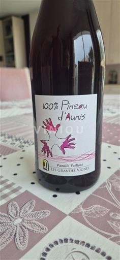 Loirevallei Niet gespecificeerd Les Grandes Vignes 100% Pineau d'Aunis Niet-geïntegreerd