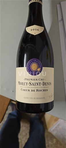 Bourgogne Morey-saint-denis Premier Cru Domaine Michel Magnien Coeur de Roches 2016