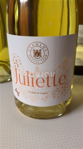 Südwestfrankreich Comté Tolosan Clamens Juliette 2022