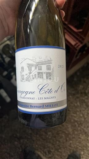 Burgundy Burgundy Côte d'Or Domaine Bernard Millot Chardonnay - Les Magnys 2021
