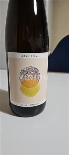 Alsace Riesling Sophie Schaal 2024