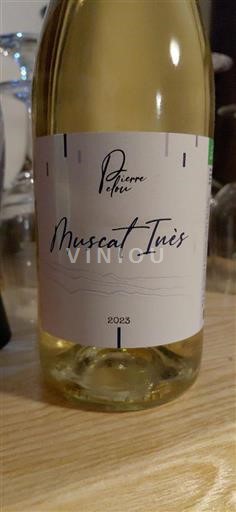 Roussillon Rivesaltes Pierre et Fils Muscat Inès 2023