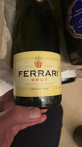 Trentino-Alto Adige Non specificato Ferrari Brut Senza annata