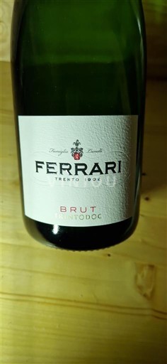 Wines of Trentino-Alto Adige Unspecified Ferrari Brut Non-Vintage
