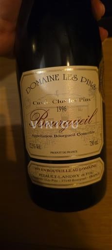 Vallée de la Loire Bourgueil Domaine Les Pins Clos les Pins 1996