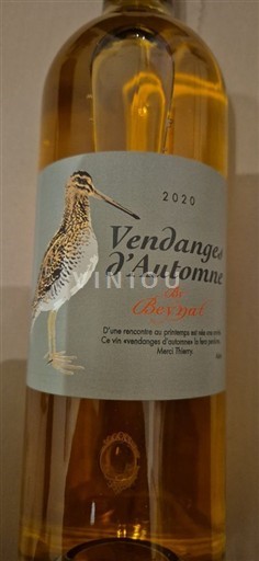 Bordeaux Beynat Vendanges d'Automne 2020