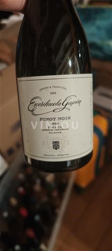 Mendoza Không được chỉ định Escorihuela Gascón 2020