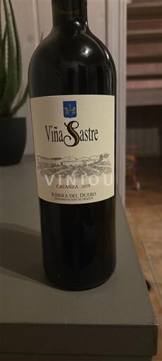Kastilien och León Ribera del Duero Viña Sastre Crianza 2019