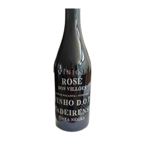 Portugal Madeira Profetas dos Villoes Rose dos Villões 2024