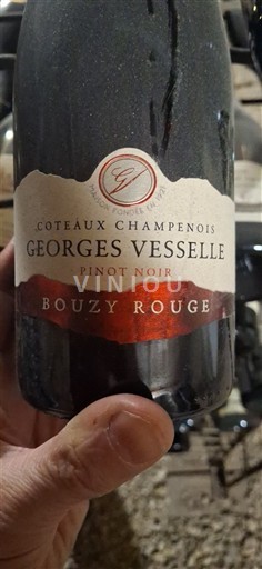 Šampanja Coteaux Champenois Georges Vesselle Bouzy Rouge 2021