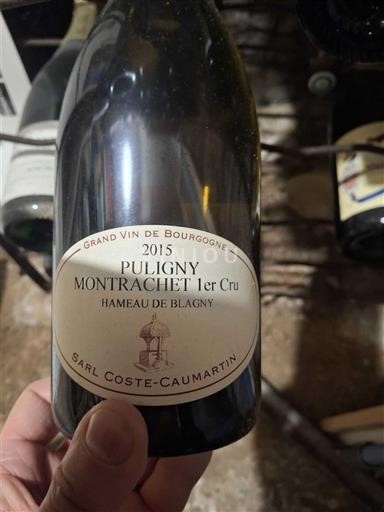 Borgoña Puligny-Montrachet Premier Cru Domaine Coste-Caumartin Hameau de Blagny 2015