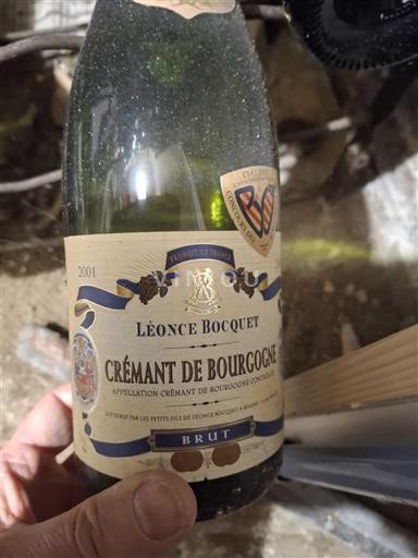 Bourgondië Crémant de Bourgogne Léonce Bocquet 2001