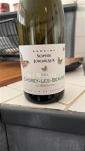 Bourgogne Chorey-lès-beaune Domaine Sophie Joigneaux La Maladerotte 2023