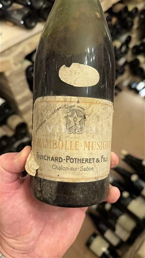 Borgoña Chambolle-Musigny Guichard-Potheret & Fils 1949