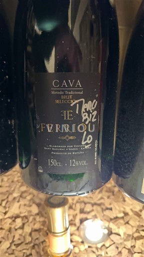 Catalonië Cava Ferriol Selección Niet-geïntegreerd