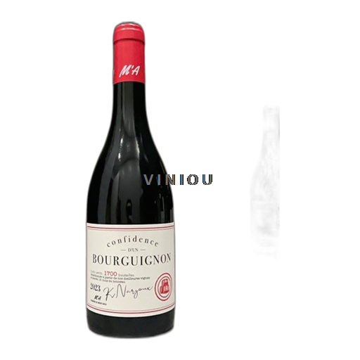 Valle del Rodano Côtes-du-Rhône Domaine Mont Aigu 2023