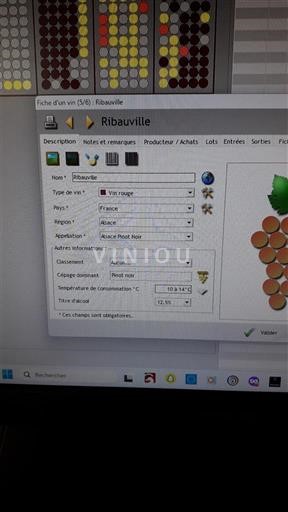 Alsasko Nespecifikováno Ribeauvillé 2013