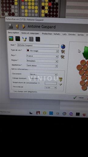 Beaujolais Saint-Amour Antoine Gaspard 2014