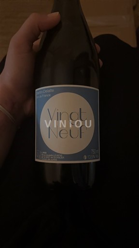 Loiredalen Ospecificerad Pierre Delettre Vingt Neuf 2022