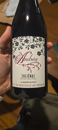 Beaujolais Juliénas Andréa La Montée du Puits 2024