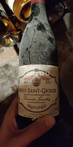 Borgoña Nuits-Saint-Georges Domaine Javouhey 2014