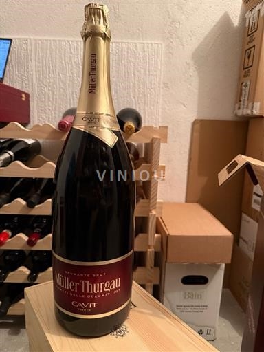 Veneto Vigneti delle Dolomiti Cavit Ikke årgangsbestemt