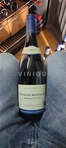 Bourgondië Niet gespecificeerd Premier Cru Domaine Fernand & Laurent Pillot Morgeot 1er Cru 2020