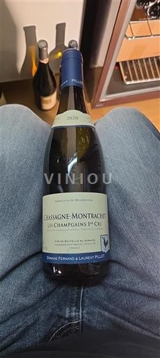 Bourgondië Chassagne-Montrachet Premier Cru Domaine Fernand & Laurent Pillot Les Champgains 1er Cru 2020