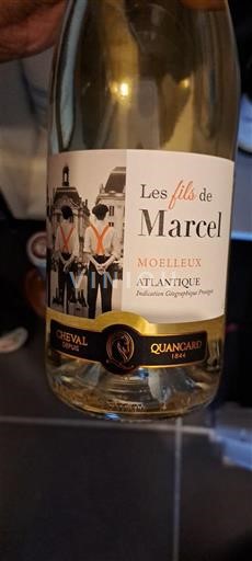 Akvitanien och Charentes Atlantique Cheval Quancard Les fils de Marcel Icke årgångsbetecknad