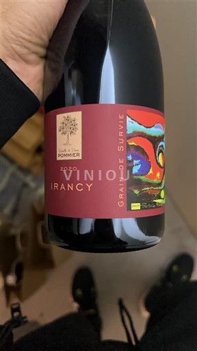 Borgogna Irancy Domaine Pommier Grain de Survie 2020