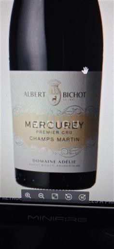 Borgogna Mercurey Premier Cru Albert Bichot Champs Martin 2022