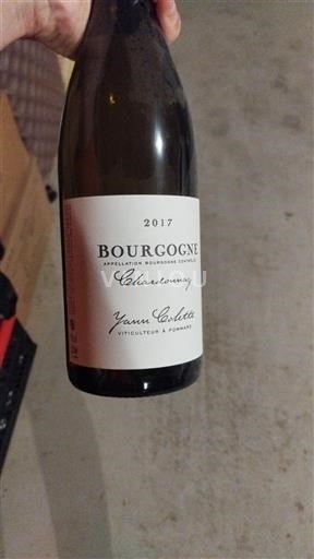 Burgundi Bourgogne Chardonnay Yann Colette 2017