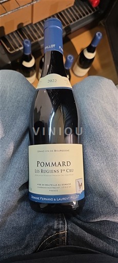 Bourgondië Pommard Premier Cru Domaine Fernand & Laurent Pillot Les Rugiens 1er Cru 2022