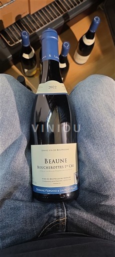 Bourgondië Beaune Premier Cru Domaine Fernand & Laurent Pillot Boucherottes 1er Cru 2022