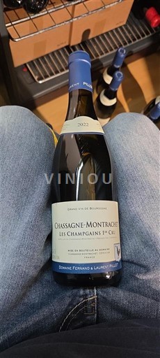 Bourgondië Chassagne-Montrachet Premier Cru Domaine Fernand & Laurent Pillot Les Champgains 1er Cru 2022