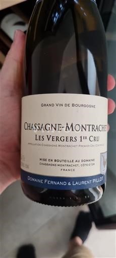 Burgundija Chassagne-Montrachet Premier Cru Domaine Fernand & Laurent Pillot Les Champgains 1er Cru 2022