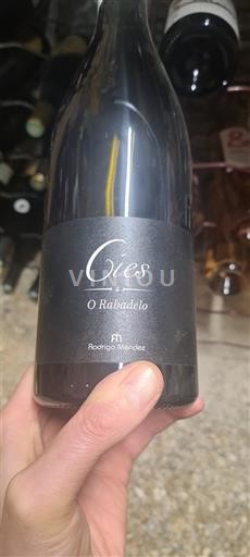 Galicia Rías Baixas Rodrigo Méndez Cies O Ribadelo 2021