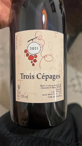 Jura Christelle et Gian Victor Labet Trois Cépages 2021