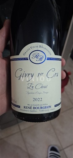 Borgonha Não especificado Premier Cru René Bourgeon En Choué 2022