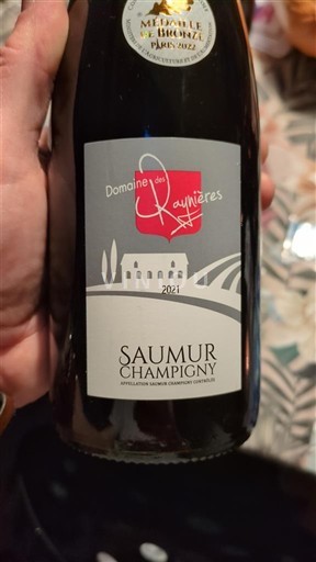 Loire-dalen Saumur-Champigny Domaine Des Guyères 2021