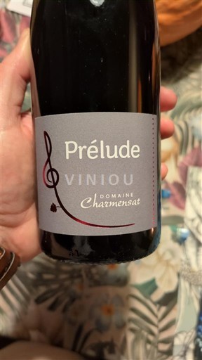 Loire-dalen Saint-Pourçain Domaine Charmensat Prélude 2022