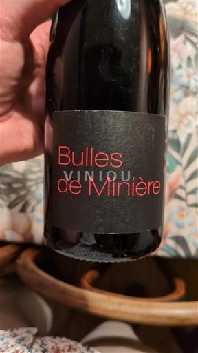 Thung lũng sông Loire Bourgueil Château Minière Bulles de Minière Không niên vụ