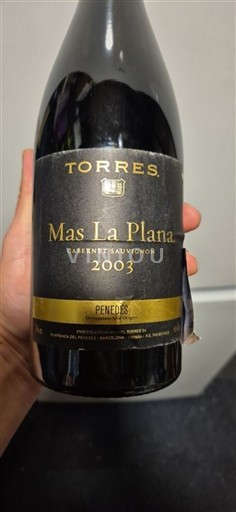 Catalonia Penedès Torres Mas La Plana 2003